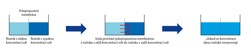 Schema-MEMBRANE-CZ - OK